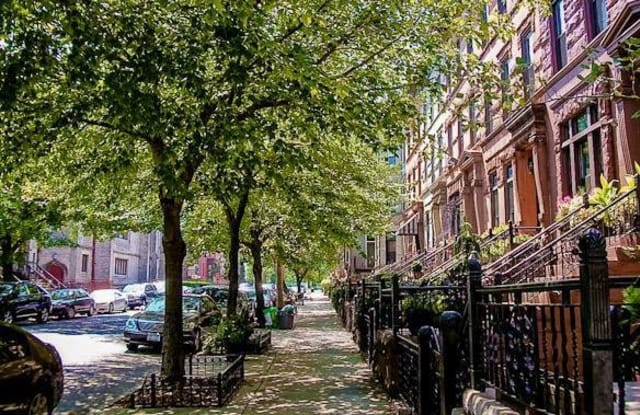 806 Quincy Street - 806 Quincy Street, Brooklyn, NY 11221 806 Quincy Street - 806 Quincy Street, Brooklyn, NY 11221