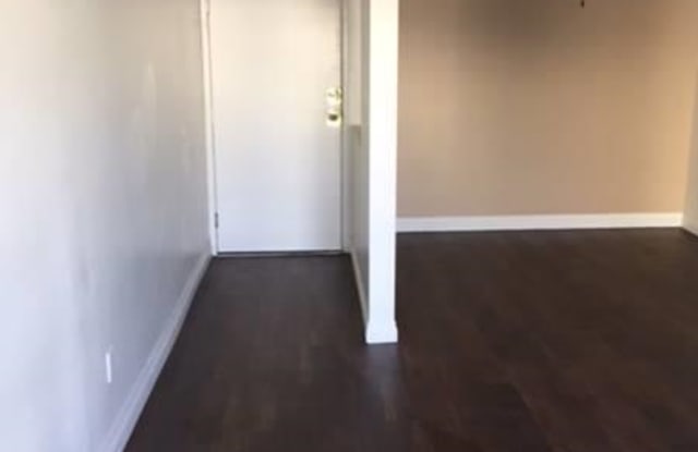 Poinsettia Club Gallery 3