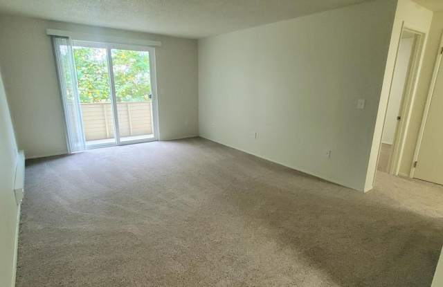 Cortina Apartments photos photos