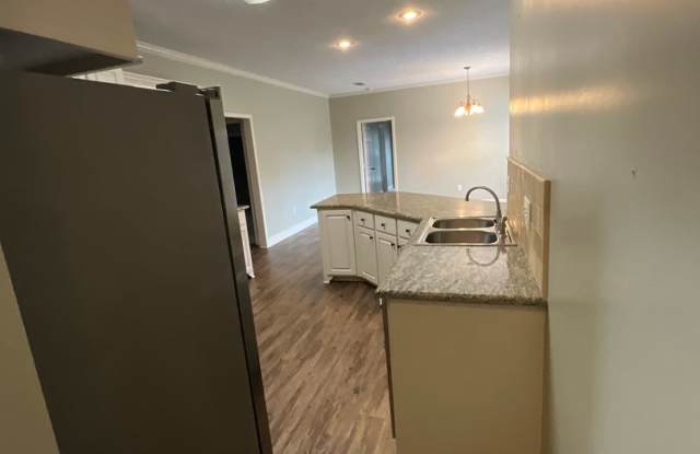 COMING SOON 3 Bed/2 Bath Home in Brandon Gallery 4