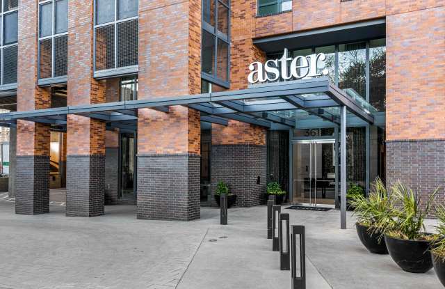 Aster Gallery 2