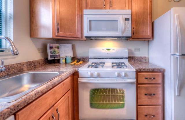 HOMESTEAD APARTMENTS Gallery 3