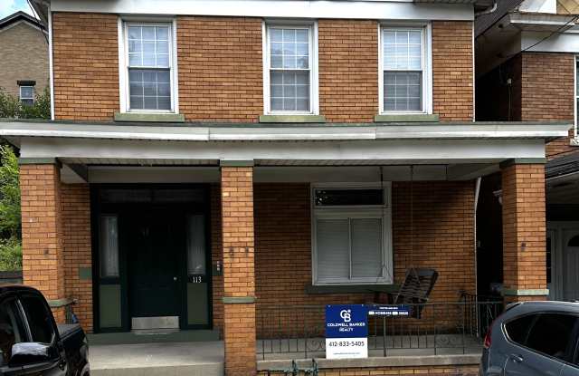 113 Merrimac St - 113 Merrimac Street, Pittsburgh, PA 15211