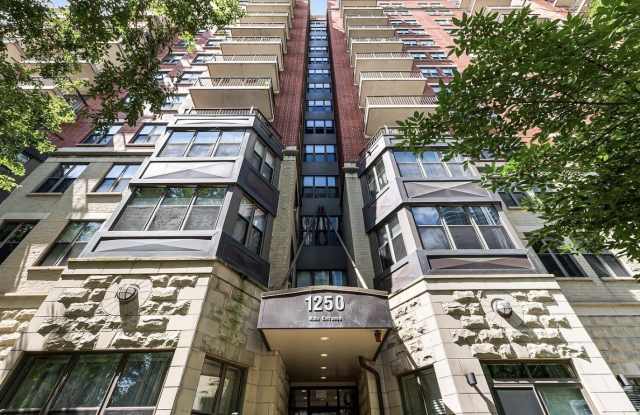 1250 S Indiana Avenue Gallery 1