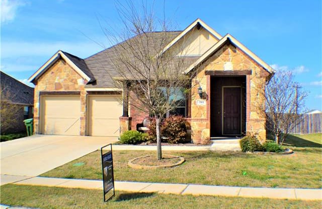 703 Sendero Drive - 703 Sendero Dr, Arlington, TX 76002