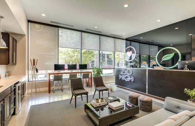 250 High Gallery 3