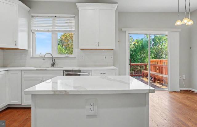 6239 FROSTY WINTER Court Gallery 4