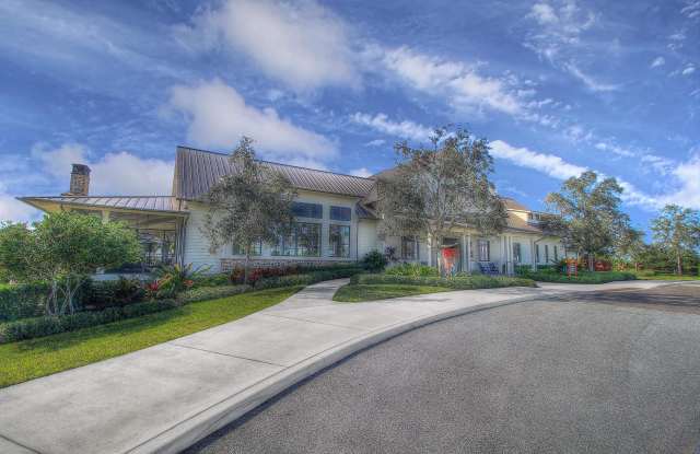 1255 TANGLED ORCHARD Trace Gallery 3