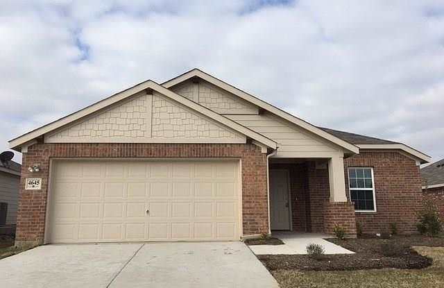 4645 Elderberry Street - 4645 Elderberry Street, Kaufman County, TX 75126