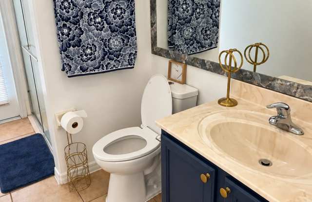 2526 Holly Berry Circle Gallery 2