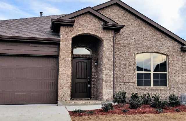 4313 Chicory Court - 4313 Chicory Ct, Corinth, TX 76210