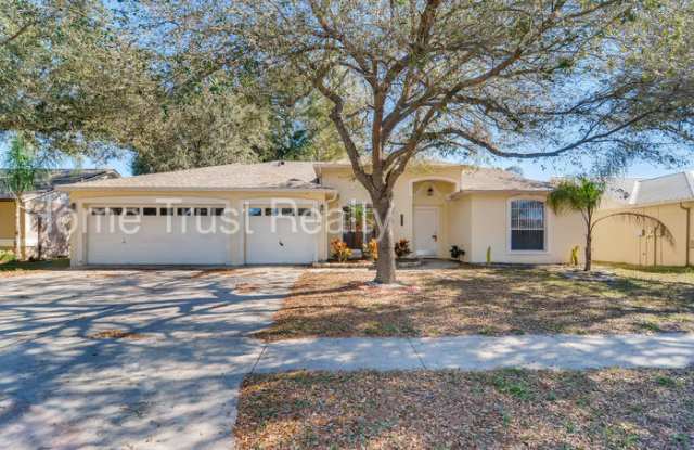 11217 Andy Drive - 11217 Andy Drive, Riverview, FL 33569