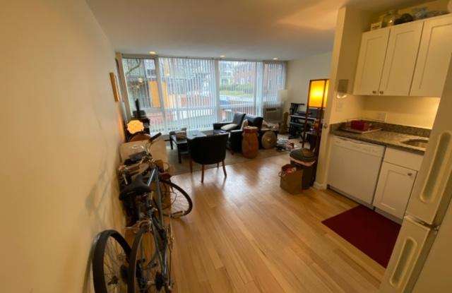 351 Harvard St. - 351 Harvard Street, Cambridge, MA 02138