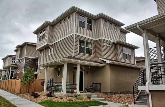 5 bed 3.5 bath home in the Meadows photos photos 5 bed 3.5 bath home in the Meadows photos photos