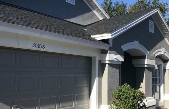 30818 LUHMAN COURT - 30818 Luhman Court, Wesley Chapel, FL 33543