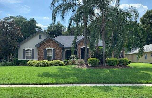 6123 AUDUBON MANOR BOULEVARD - 6123 Audubon Manor Boulevard, Fish Hawk, FL 33547