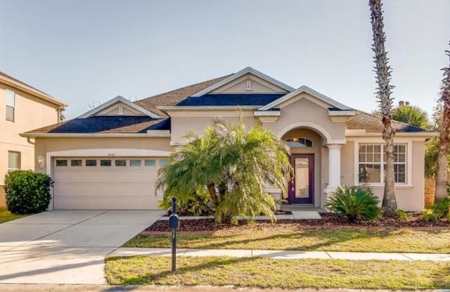3445 Fiddlers Green Loop - 3445 Fiddle Green Loop, Wesley Chapel, FL 33544