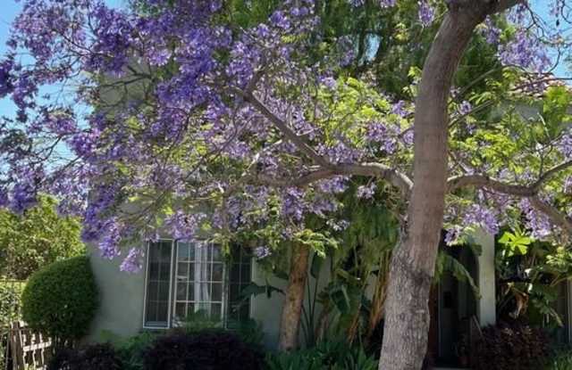 1282 S Highland Ave photos photos 1282 S Highland Ave photos photos