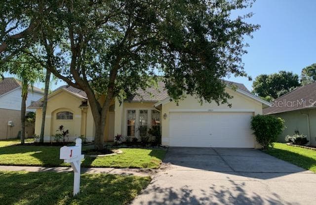 10024 OASIS PALM DRIVE - 10024 Oasis Palm Drive, Town 'n' Country, FL 33615