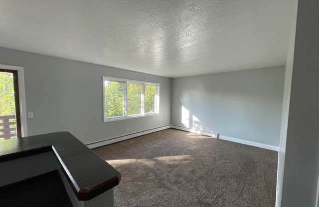 1400 E Mulchatna Dr #1 Gallery 4