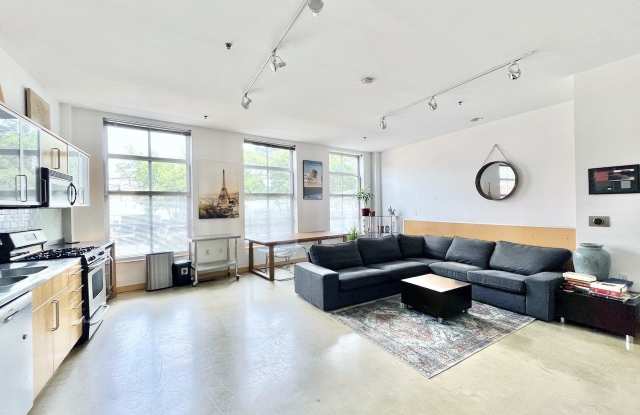 10 Ann Street Gallery 4