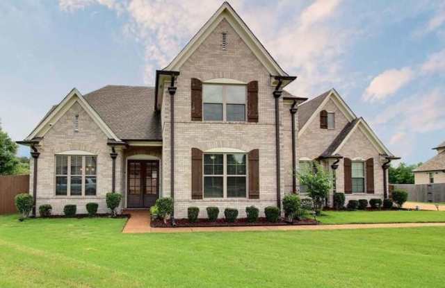 Spacious 5BR House in Collierville photos photos
