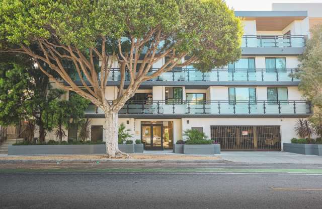 1115 SM Apartments Gallery 3