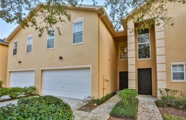 6232 CLIFTON PALMS DRIVE - 6232 Clifton Palms Drive, Tampa, FL 33647