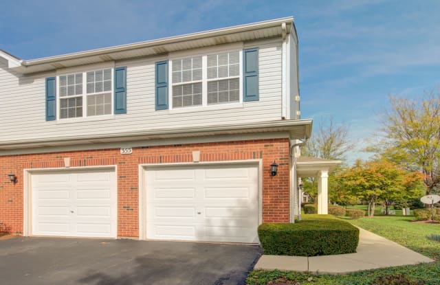 355 Grape Vine Trail - 355 Grape Vine Trail, Oswego, IL 60543