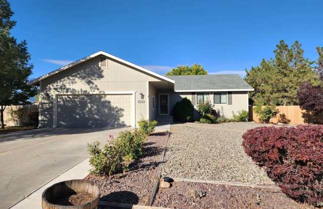 2964 San Fernando Dr. - 2964 San Fernando Drive, Johnson Lane, NV 89423