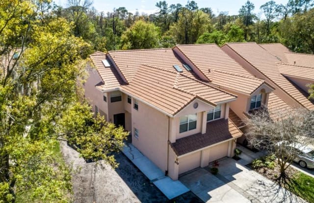 209 CLAYS TRAIL - 209 Clays Trail, East Lake, FL 34677