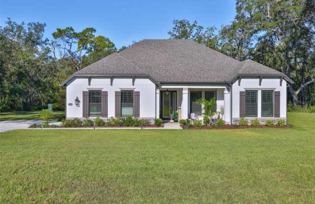 13148 OLDENBURG DRIVE photos photos