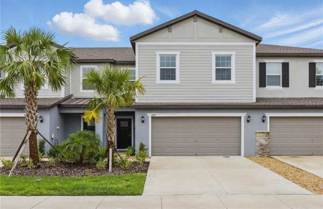 6177 SHINER STREET - 6177 Shiner Street, Land O' Lakes, FL 34638