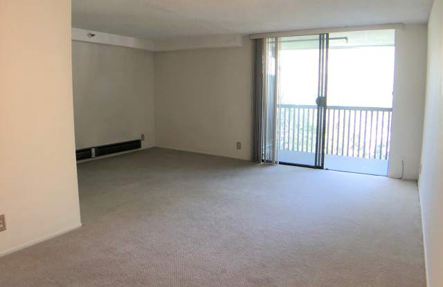 5332 Shelter Creek Lane Gallery 3