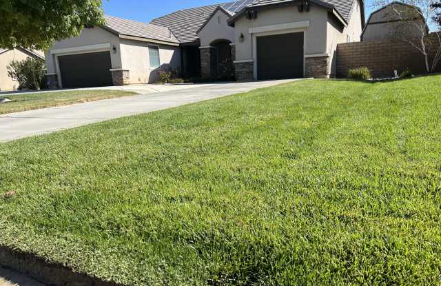 41530 Yew Street photos photos