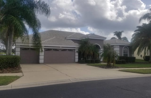 1048 HAGEN DR - 1048 Hagen Drive, Trinity, FL 34655