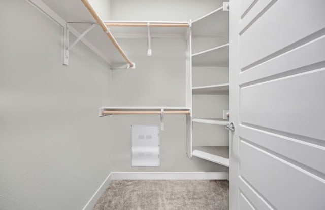 Brightleaf at Lakeline photos photos