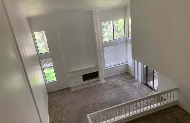 26485 Anselmo Gallery 3
