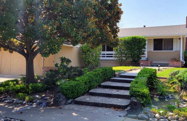 Large Landscaped Backyard! Fruit Trees- Fresh Interior Paint- Fresh Exterior paint- New Roof Coming Soon photos photos