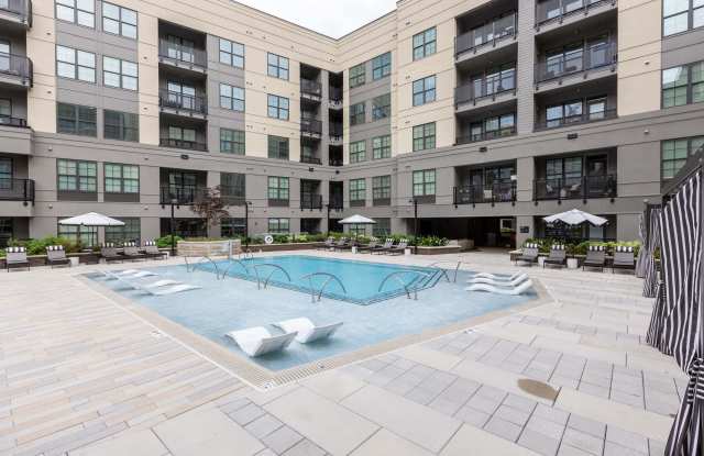 The Prospect photos photos