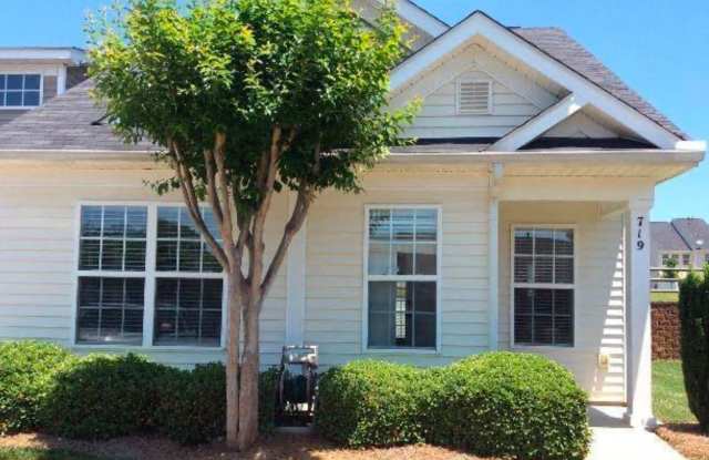Exclusively offered by MUSE REALTY, LLC - 719 Waterfall Way, Lake Wylie, SC 29710