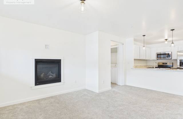 Modern 2 Bed / 2 Bath Apartment with Fireplace Stainless Appliances photos photos Modern 2 Bed / 2 Bath Apartment with Fireplace Stainless Appliances photos photos