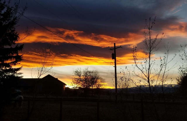 Pre-Lease Avail. 06/01 - Open  Bright, Updated Flooring, W/D Available photos photos