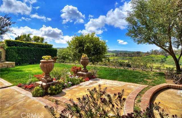 23 Prairie Grass photos photos