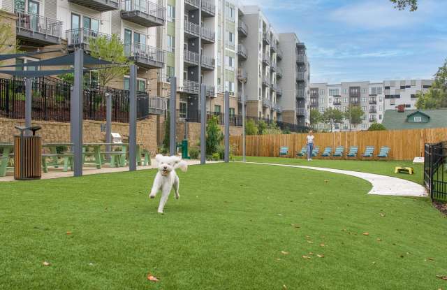 Ello House photos photos