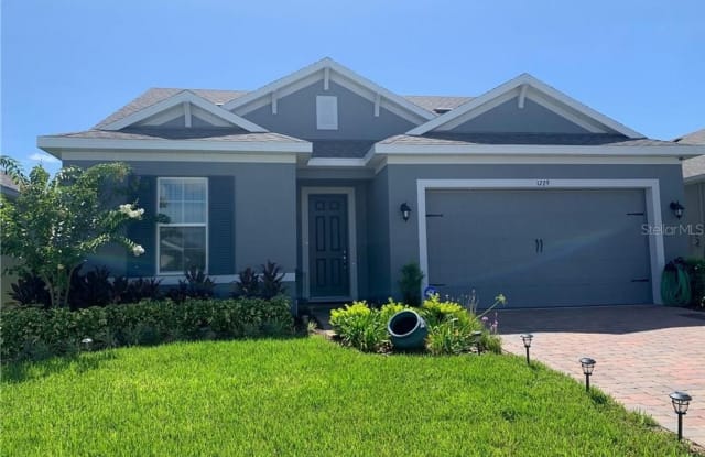 1729 Hawksbill Lane - 1729 Hawksbill Lane, St. Cloud, FL 34771
