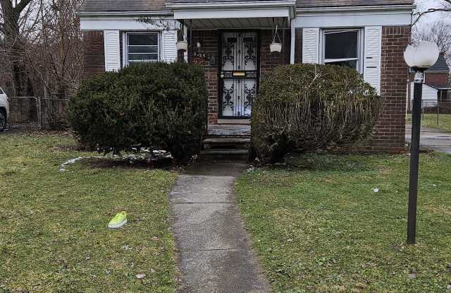 8283 Ohio - 8283 Ohio Street, Detroit, MI 48204