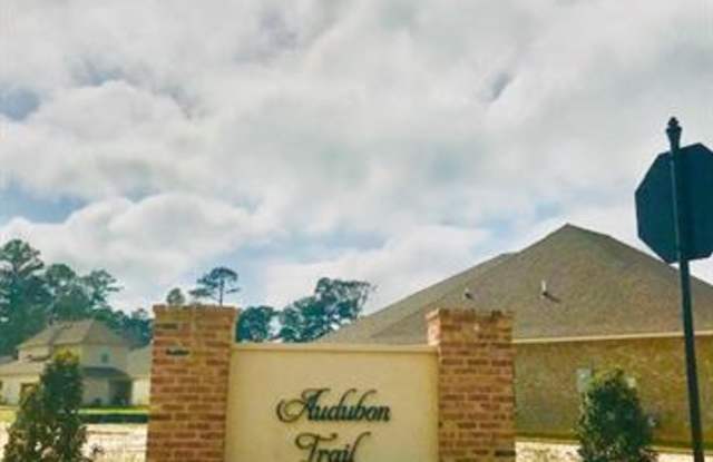 445 TIGER Avenue - 445 Tiger Ave, St. Tammany County, LA 70433