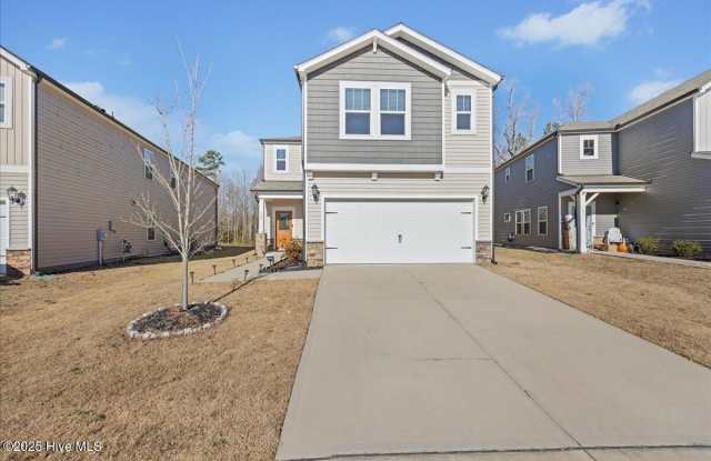 149 Wilbur Lake Drive - 149 Wilbur Lake Drive, Wake County, NC 27526