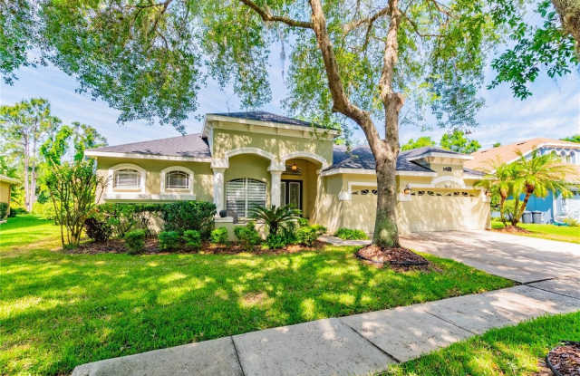 6119 VIREORIDGE DRIVE - 6119 Vireoridge Drive, Fish Hawk, FL 33547